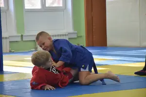 Первенство посвященное Дню Победы «Сумо в партере» 2019 г.р.