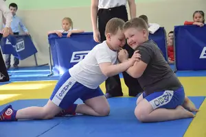 Первенство посвященное Дню Победы «Сумо в партере» 2019 г.р.