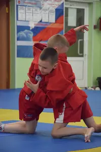 Первенство посвященное Дню Победы «Сумо в партере» 2019 г.р.