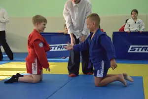 Первенство посвященное Дню Победы «Сумо в партере» 2019 г.р.