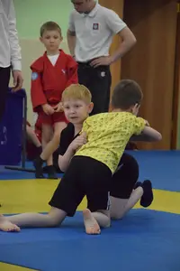 Первенство посвященное Дню Победы «Сумо в партере» 2019 г.р.