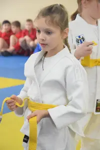 Первенство по «СУМО+партер» 2016 г.р.