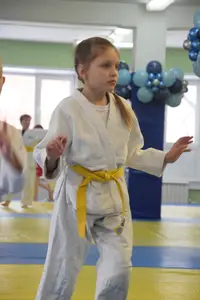 Первенство по «СУМО+партер» 2016 г.р.