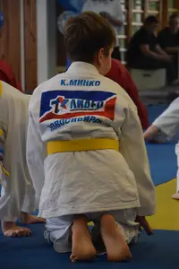 Первенство по «СУМО+партер» 2016 г.р.