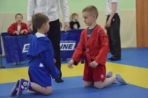 Первенство посвященное Дню Победы «Сумо в партере» 2019 г.р.