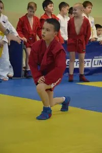 Первенство по «СУМО+партер» 2016 г.р.