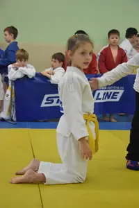 Первенство по «СУМО+партер» 2016 г.р.