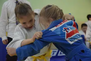 Первенство по «СУМО+партер» 2016 г.р.