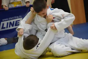 Первенство по «СУМО+партер» 2016 г.р.