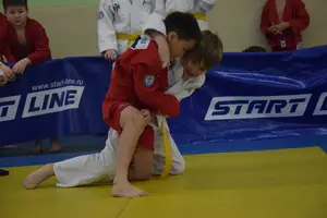 Первенство по «СУМО+партер» 2016 г.р.