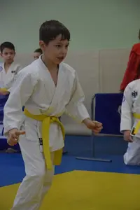 Первенство по «СУМО+партер» 2016 г.р.