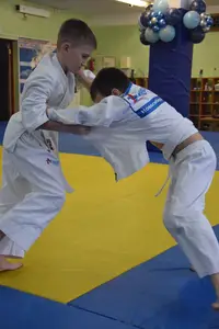 Первенство по «СУМО+партер» 2016 г.р.