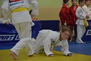 Первенство по «СУМО+партер» 2016 г.р.