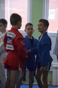 Первенство по «СУМО+партер» 2016 г.р.