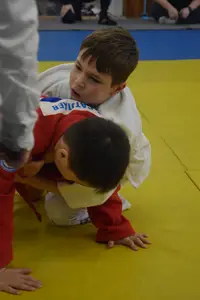 Первенство по «СУМО+партер» 2016 г.р.