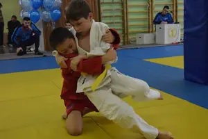 Первенство по «СУМО+партер» 2016 г.р.