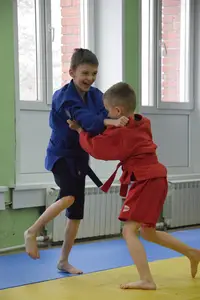 Первенство посвященное Дню Победы  «СУМО в стойке» 2018 г.р.