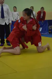 Первенство по «СУМО+партер» 2016 г.р.