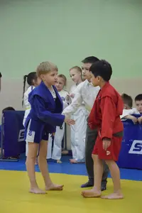 Первенство посвященное Дню Победы  «СУМО в стойке» 2018 г.р.