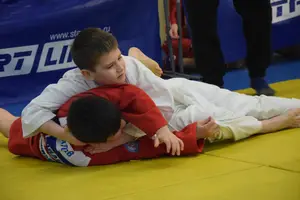 Первенство по «СУМО+партер» 2016 г.р.