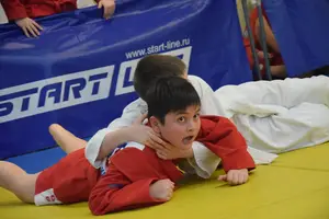 Первенство по «СУМО+партер» 2016 г.р.