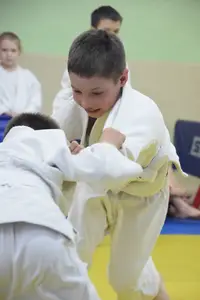 Первенство посвященное Дню Победы  «СУМО в стойке» 2018 г.р.