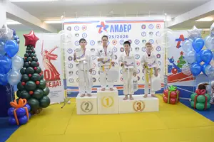 Первенство по «СУМО+партер» 2016 г.р.