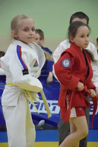 Первенство посвященное Дню Победы  «СУМО в стойке» 2018 г.р.