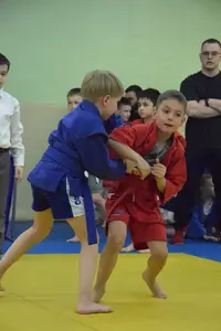 Первенство посвященное Дню Победы  «СУМО в стойке» 2018 г.р.
