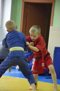 Первенство посвященное Дню Победы  «СУМО в стойке» 2018 г.р.