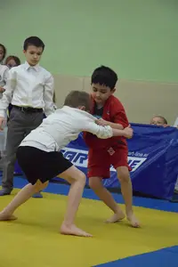 Первенство посвященное Дню Победы  «СУМО в стойке» 2018 г.р.