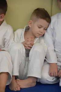 Первенство по «СУМО" 2017 г.р.