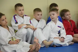 Первенство по «СУМО" 2017 г.р.