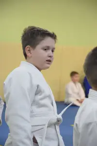 Первенство по «СУМО" 2017 г.р.