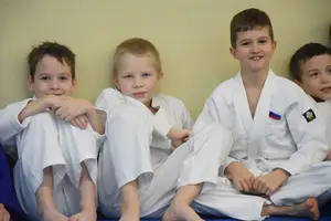 Первенство по «СУМО" 2017 г.р.