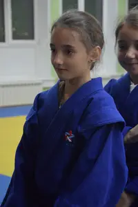 Первенство по «СУМО" 2017 г.р.