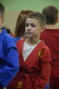 Первенство по «СУМО" 2017 г.р.