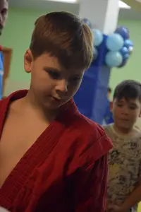 Первенство по «СУМО" 2017 г.р.