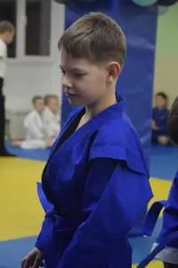 Первенство по «СУМО" 2017 г.р.