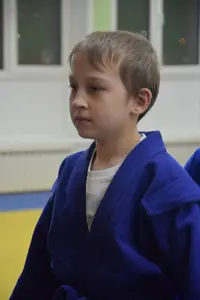 Первенство по «СУМО" 2017 г.р.