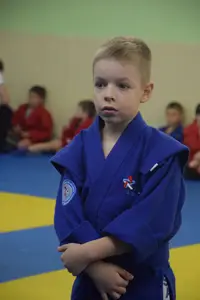 Первенство по «СУМО" 2017 г.р.