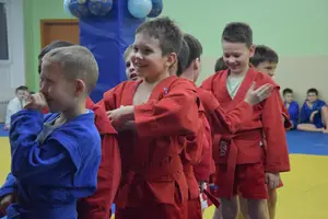 Первенство по «СУМО" 2017 г.р.