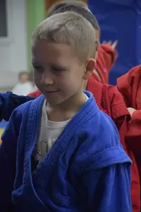 Первенство по «СУМО" 2017 г.р.