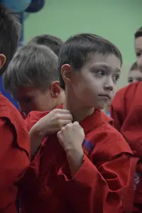 Первенство по «СУМО" 2017 г.р.