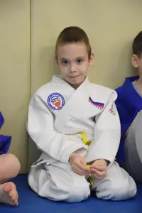 Первенство по «СУМО" 2017 г.р.