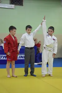 Первенство посвященное Дню Победы  «СУМО в стойке» 2018 г.р.