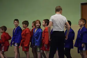 Первенство по «СУМО" 2017 г.р.