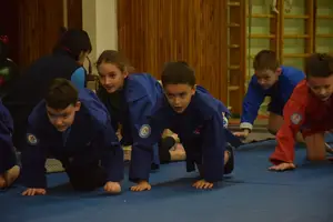 Первенство по «СУМО" 2017 г.р.