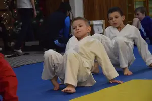 Первенство по «СУМО" 2017 г.р.