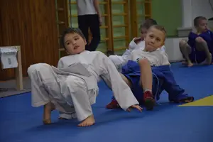 Первенство по «СУМО" 2017 г.р.